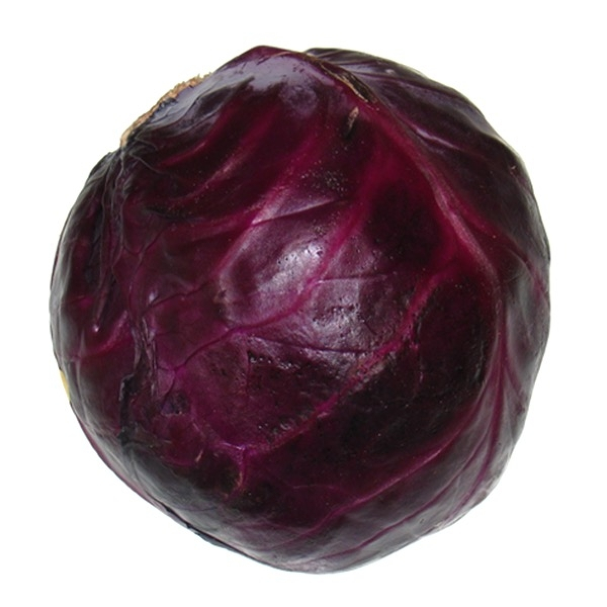 Blaukraut / Rotkohl Hofgut Wallenburg