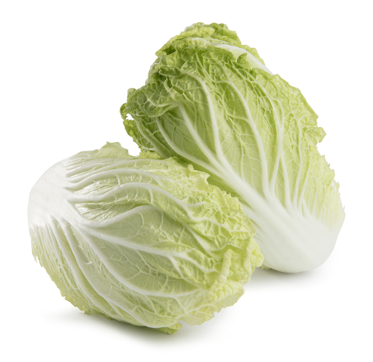 Chinakohl 0,85  kilo und größer