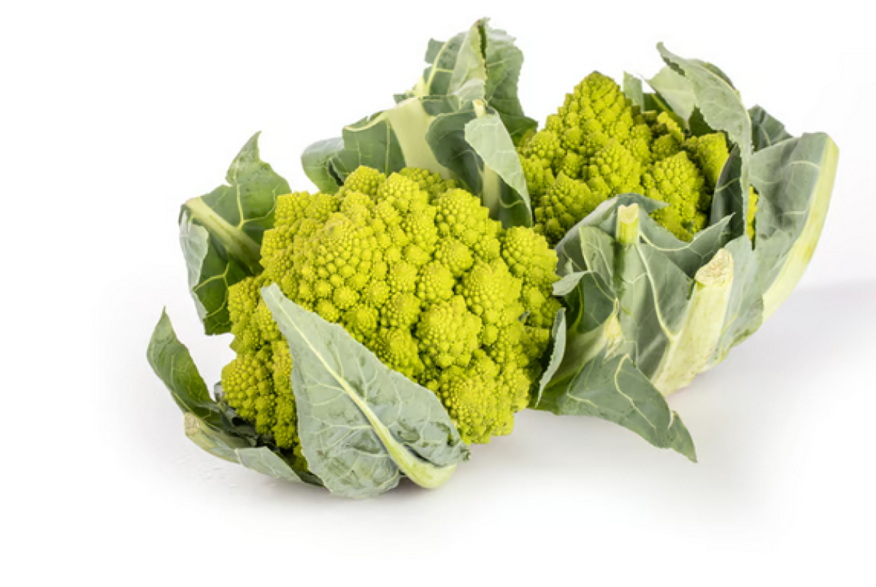 Romanesco Hofgut Wallenburg