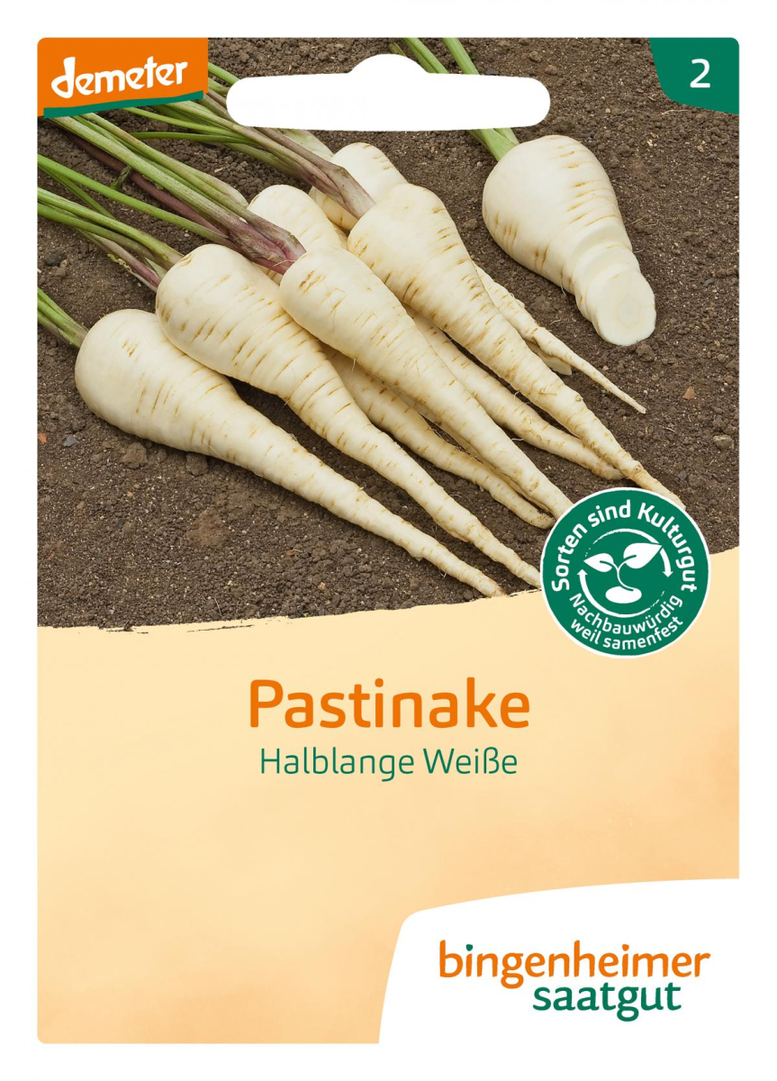 Saatgut Pastinaken - halblange Weiße -NACHLIEFERUNG UNGEWISS