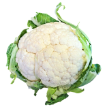 Blumenkohl