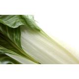 Pak Choy mit Rezeptvorschlag -  Gut Wallenburg