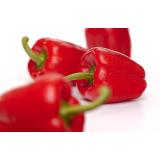 Paprika rot