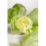 Salat Eissalat