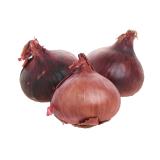 Zwiebel rot