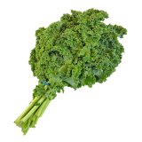 Grünkohl