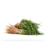 Mönchsbart Bund Roscano Agretto, ca. 100g