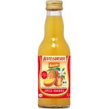 Apfel-Mangosaft demeter 200ml