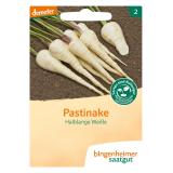 Saatgut Pastinaken - halblange Weiße -NACHLIEFERUNG UNGEWISS
