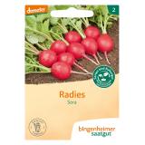 Saatgut Radies - Sora