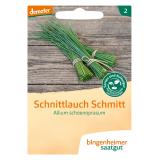 Saatgut Schnittlauch
