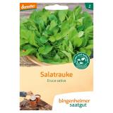 Salatrauke Rucola Saatscheiben- eruca sativa