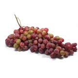 Trauben kernlos, weiß