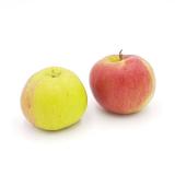 Äpfel Santana - gut für Allergiker geeignet