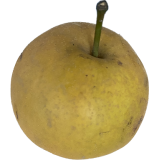 Nashi Apfelbirne (Kreuzung Apfel Birne)