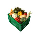 Gemüse-Box mini
