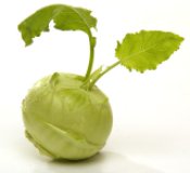 Kohlrabi grün