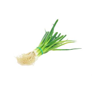 Bund- / Lauchzwiebeln aus Letten