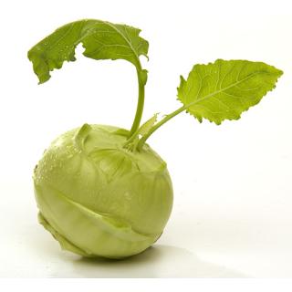 Kohlrabi grün