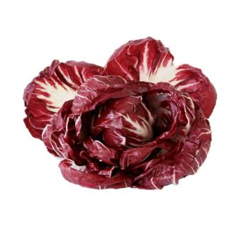 Salat Radicchio