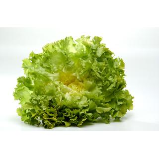Salat Endivien Hofgu tLetten