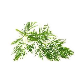 Dill  Bund