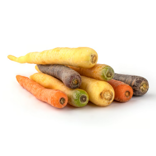 Karotten Melange - bunte Sorten gemischt
