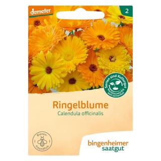 Saatgut Calendula (Ringelblume)