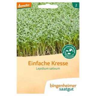 Saatgut einfache Kresse