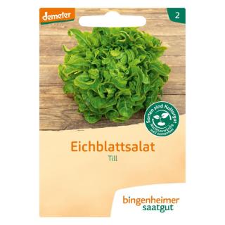 Saatgut Eichblattsalat - Till