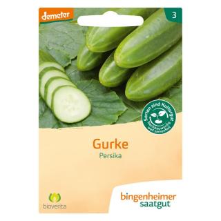 Saatgut Gurke (Freiland) - Persika