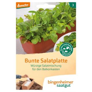 Saatgut Bunte Salatplatte Salatmischung