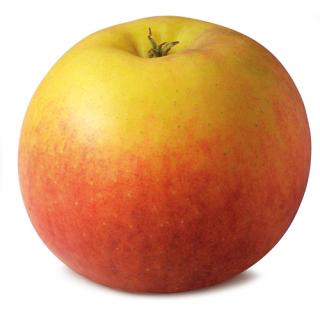 Äpfel Braeburn  - demeter