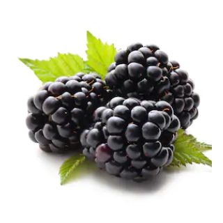 Brombeeren Schale 200g