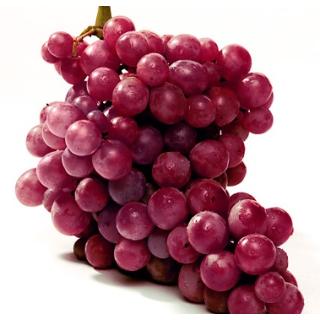 Trauben rot - rose kernlos