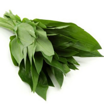 Bärlauch als Bundware