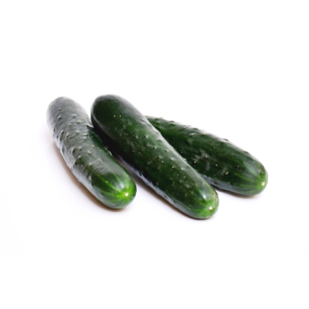Gurke - Landgurke