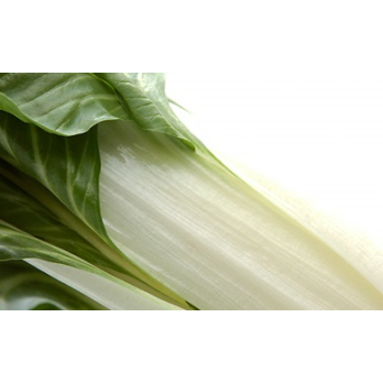 Pak Choy mit Rezeptvorschlag -  Gut Wallenburg