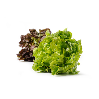 Salat der Woche - je nach Angebot