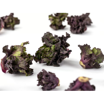 Flower Sprouts (Rosenkohlkreuzung aus Grün- und Rosenkohl) Kalettes