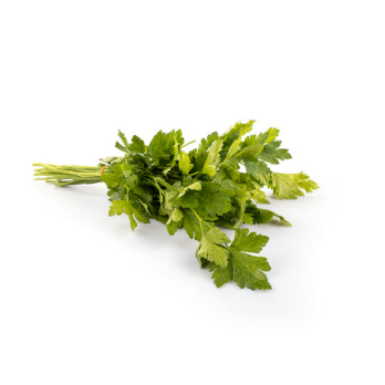 Petersilie Kräuterbund