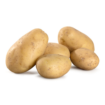 Kartl - Linda /(Ditta als Ersatzkartoffel) festkochend