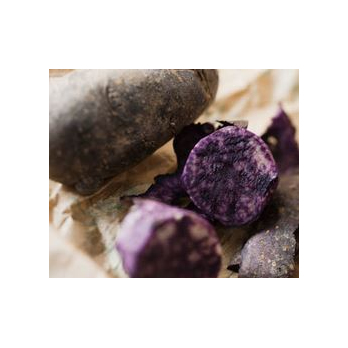 Kartoffel  "Blaues Fruchtfleisch"