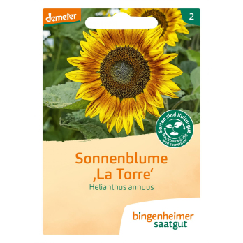 Saatgut Sonnenblume - La Torre