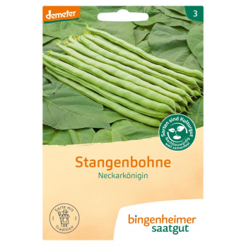 Saatgut Stangenbohnen - Neckarkönigin