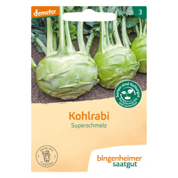 Saatgut Kohlrabi weiß - Superschmelz