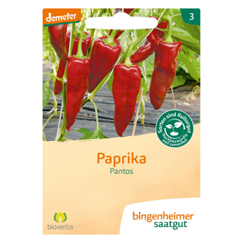 Saatgut Paprika - Pantos