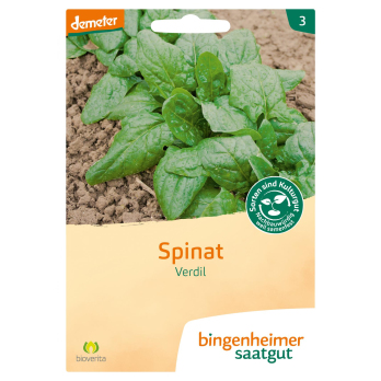 Saatgut Spinat - Verdil