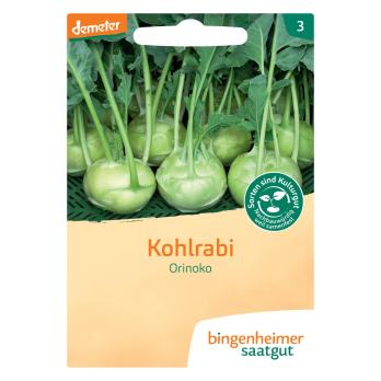 Saatgut Kohlrabi