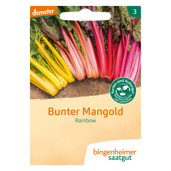 Saatgut bunter Mangold Rainbow